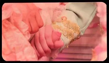 Busty Trans Beauties Aubrey Kate & Friends Share Intense Anal Threesome