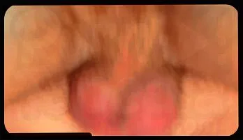 Studious Buddies Unleash Passion in Steamy Bareback Session