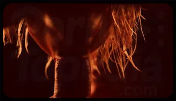 Cecilia Takes Charge: A Sensual Anal Adventure