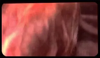 Seductive Amateur Darryll Satisfies a Hung Stud with a Sloppy Blowjob