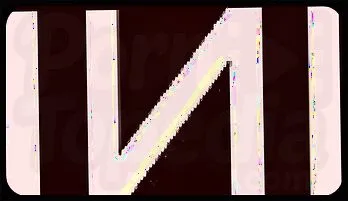 Wild Cowgirl Passion: Blonde Blanche Bradburry Takes Big Cock with Big Tits Rider