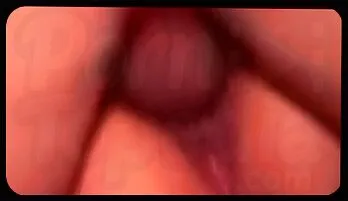 Osama's Intense Hardcore Ride and Blowjob Adventure