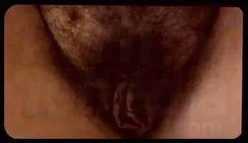 Wild Hairy Fetish: Jessa Rhodes Delights in Wet and Fuzzy Fun