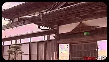 Sultry Japanese Couple’s Wild Outdoor Sex Under the Night Sky