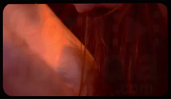 Karlee Grey’s Triumphant Return: Passionate Lesbian Reunion with Jillian Janson