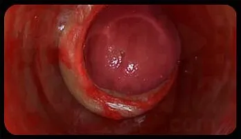 Deep Pussy POV: Huge Sperm Explosion ASMR - 59720p 1.5K Views