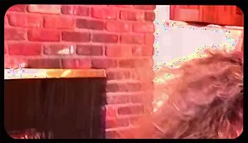 Wild Lesbian Party Erupts Into Hardcore Anal Orgy