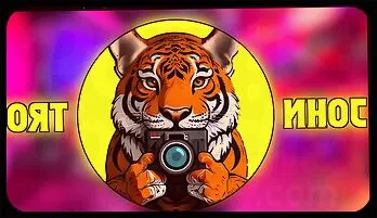 Wild Bedroom Passion with a Stunning Asian Beauty