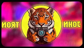 Hong Kong Honey's Steamy Affair with a Hung Stud