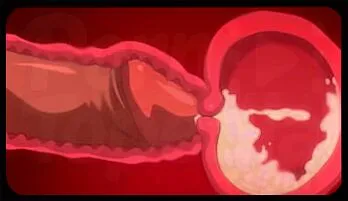 Uncensored Hentai Marathon: 100 Creampies in One Wet Anime Pussy