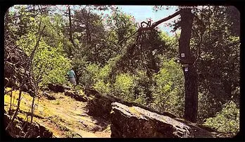 Wild Outdoor Encounter: Emily Willis Takes Charge!