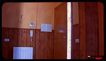 Seductive Housewife Taken Anal by Muscular Plumber