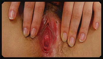 Sayaka Fukuhara in latex lingerie is toyed