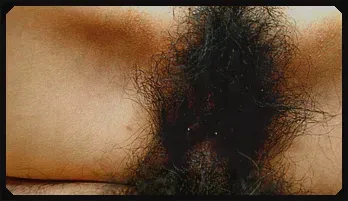 Miu Shinohara caresses her hairy pussy