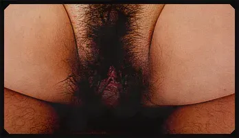 Chubby Japanese beauty Toshiko Shiraki shows off her hairy pussy