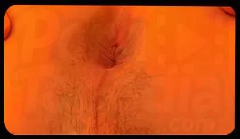 Hans Ebson's Sultry Poolside Seduction