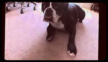 Michelle McLaren's Sultry Seduction with a Hung Black Lover