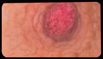 Shione Cooper’s Big Natural Boobs Bouncing in a Sultry Car Fantasy