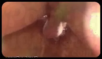 Hung Intrigue Faces Off with Tone’s Massive Cock in Hardcore Gay Encounter