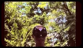 Voluptuous MILF Masturbates Outdoors with a Dildo