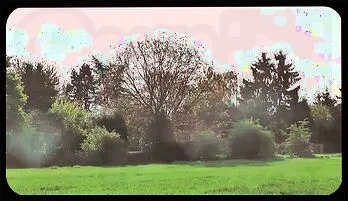 Redhead MILF & Husband Farm Romance: Outdoor Passion