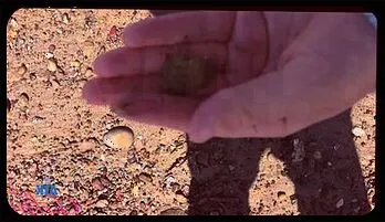 Behind the Scenes Seduction: Selina Imai’s POV Adventure