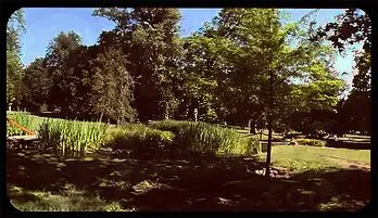 Sandra B. in a Wild Gangbang with Three Eager Lovers