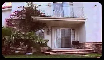 Trinity James - Exploring Boundaries, No Regrets