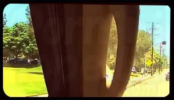 Nikki Benz & Julianna Vega: Big Dick Blowjob Show