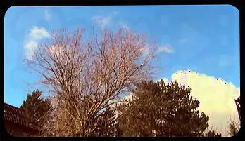 Sexy Tattooed Mature Woman Gets Her Pussy Smashed Hard by a Hungry Stud